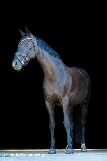 Fotosessie op locatie